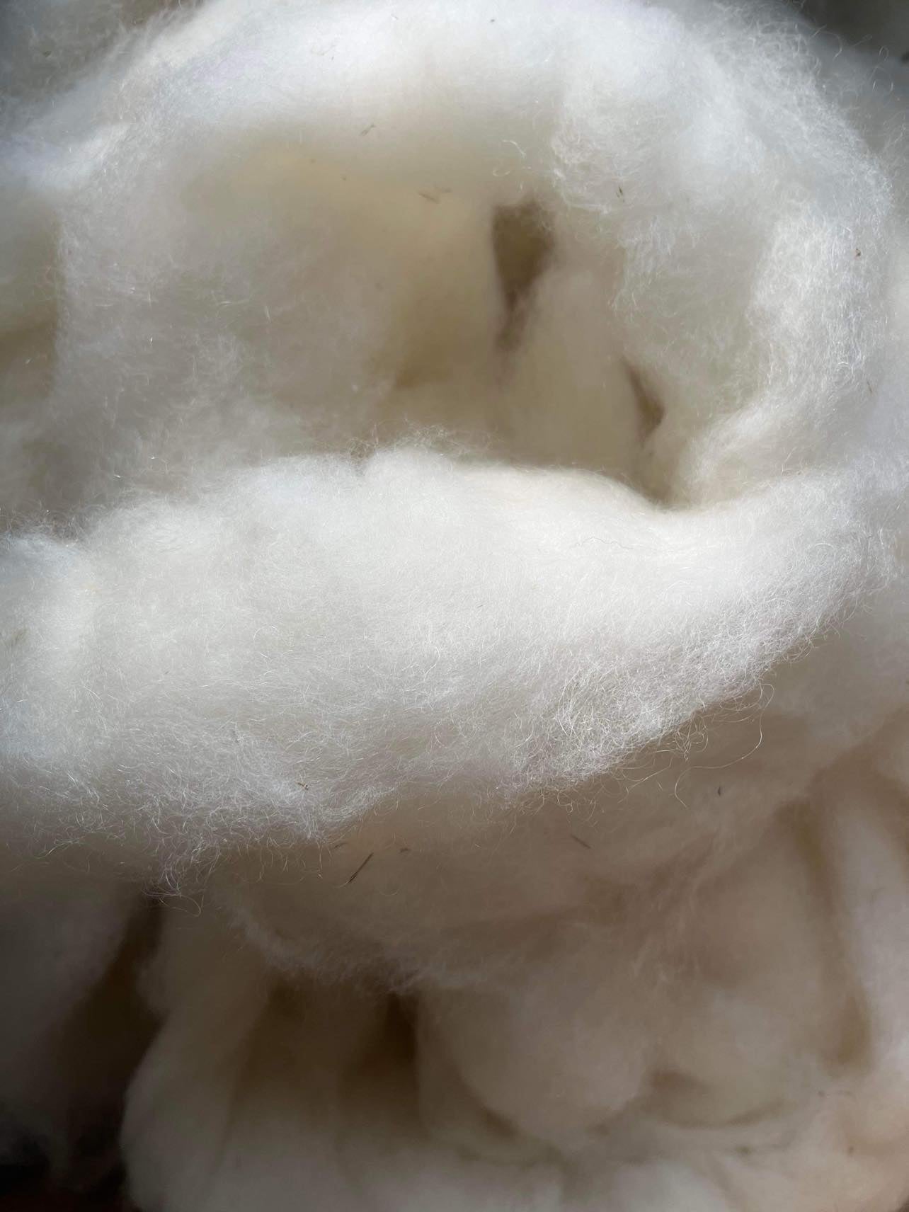 Mohair/Wool Roving