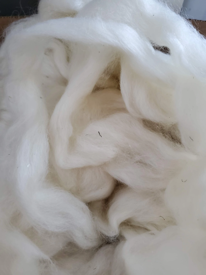 mohair/wool combed top