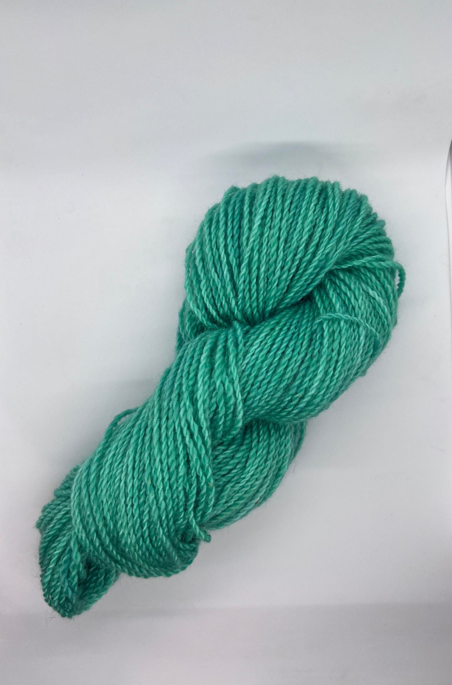 lady, light worsted, 100g, green lagoon